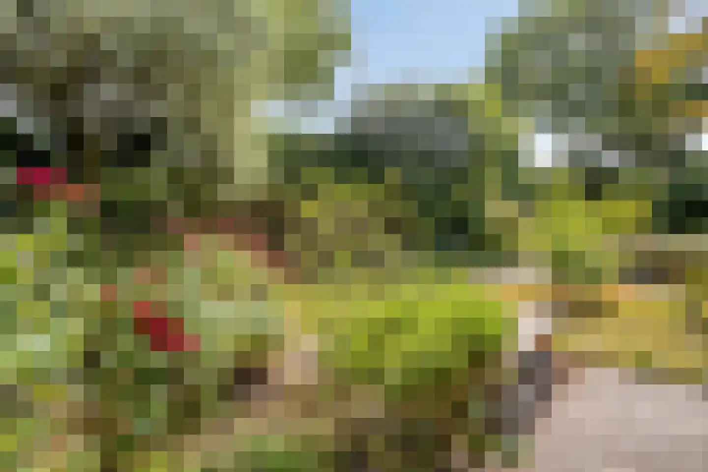 Dokter van der Koppelstraat 3 Ophemert thumbnail 24