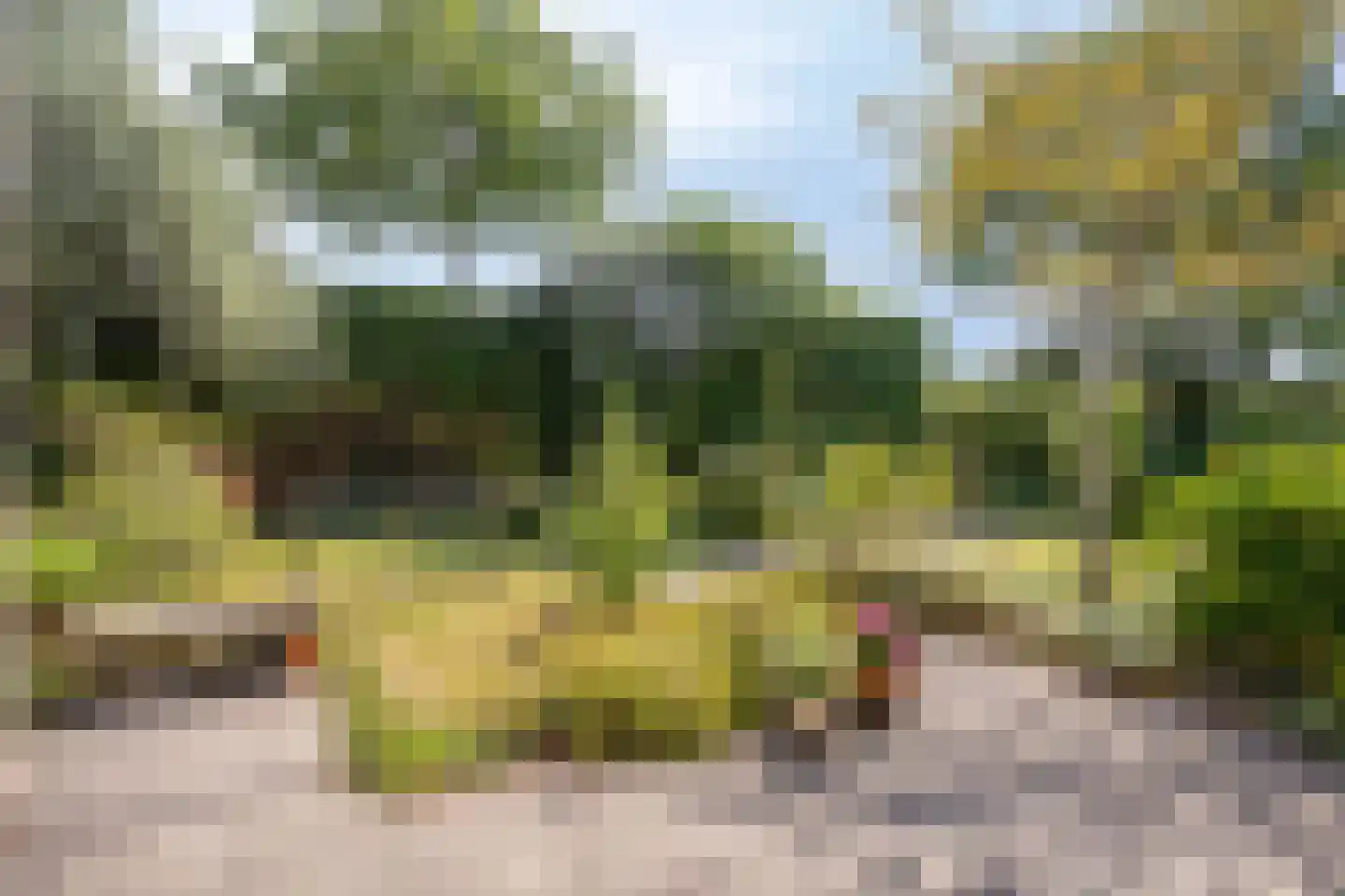 Dokter van der Koppelstraat 3 Ophemert thumbnail 25
