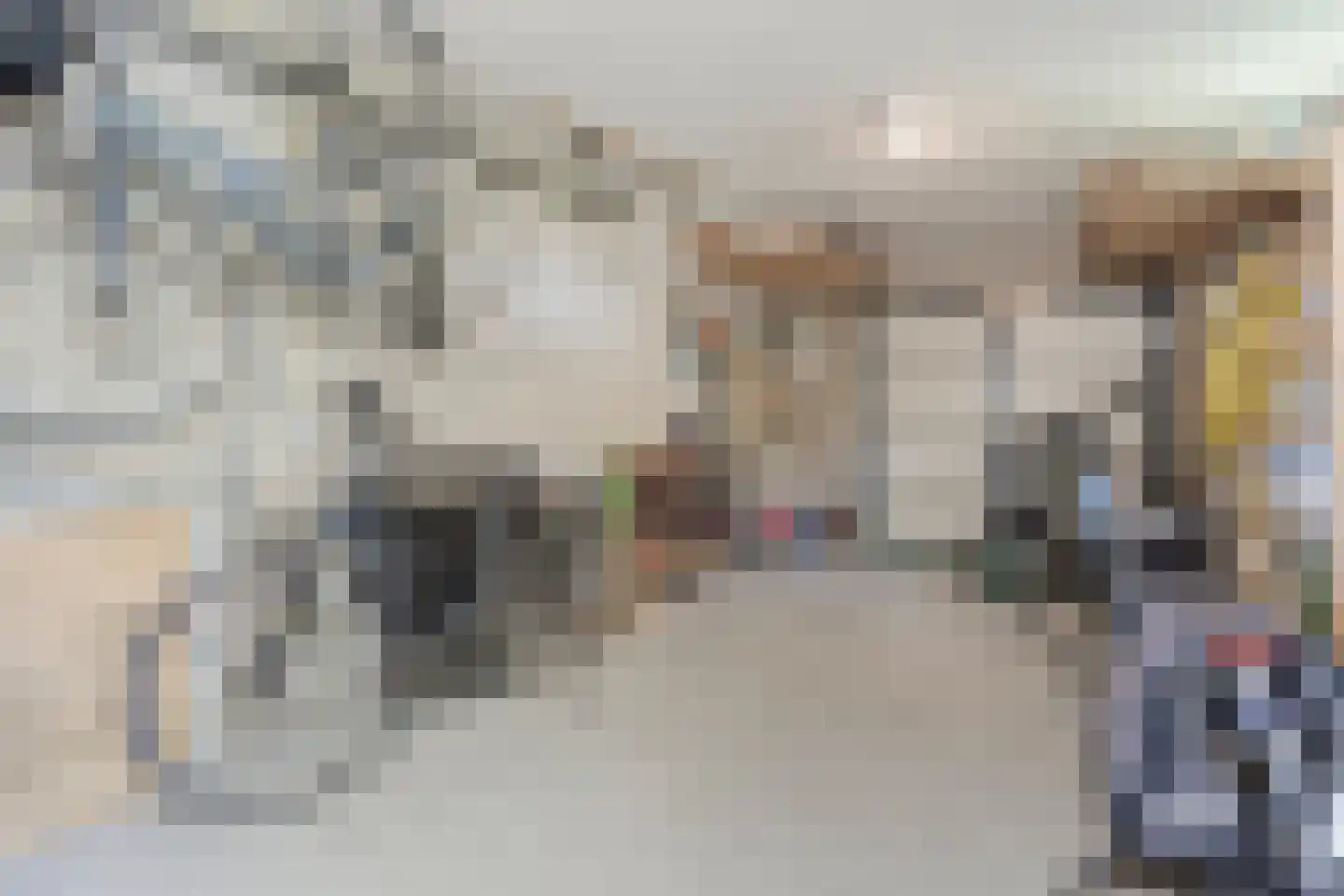 Dokter van der Koppelstraat 3 Ophemert thumbnail 29