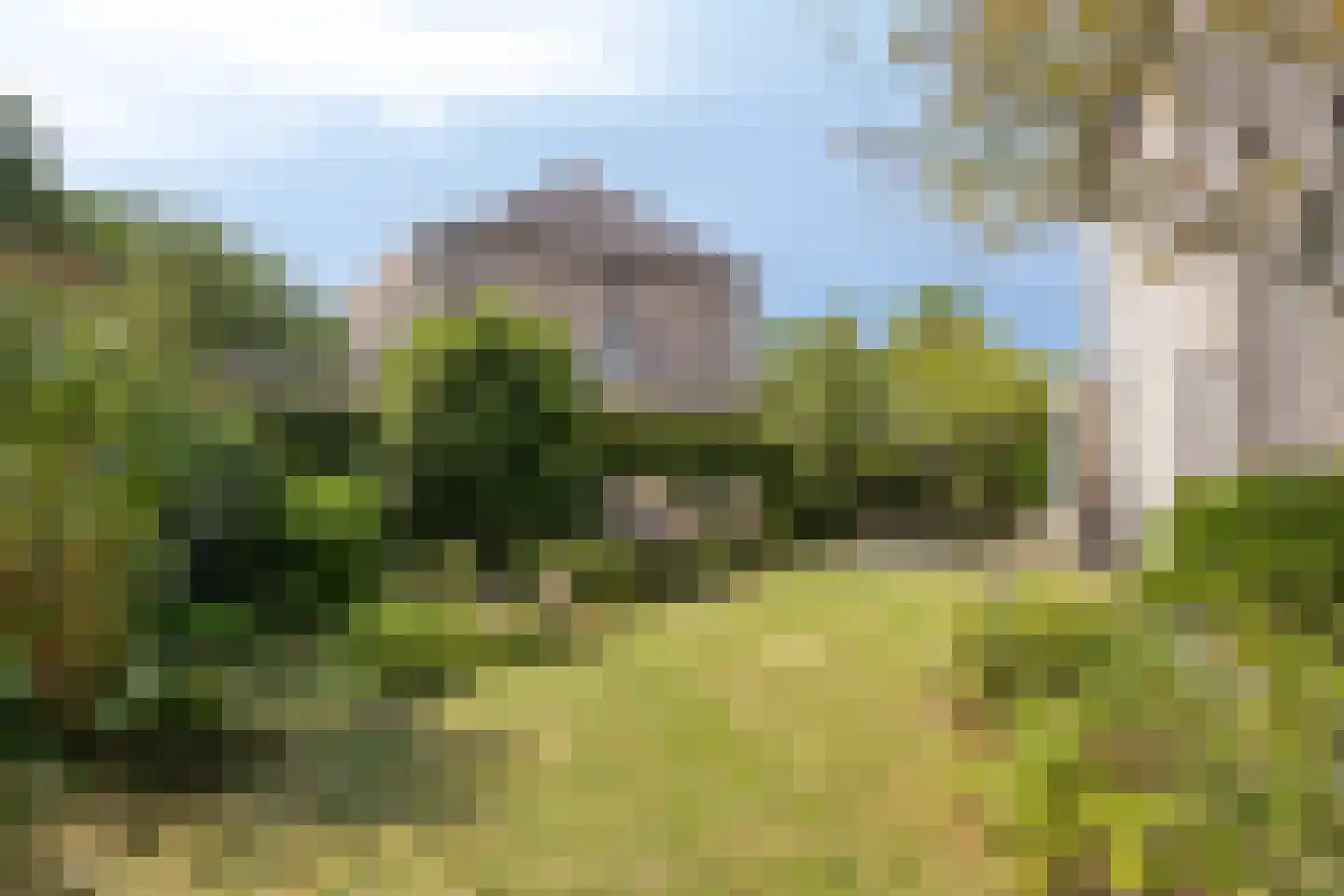 Dokter van der Koppelstraat 3 Ophemert thumbnail 30