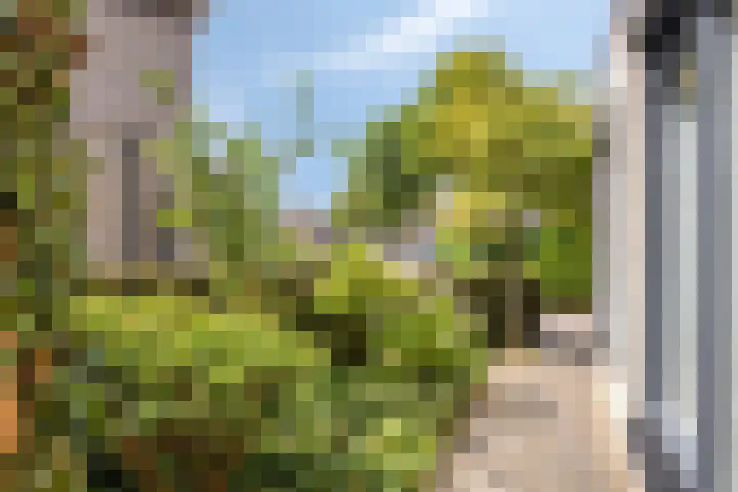 Dokter van der Koppelstraat 3 Ophemert thumbnail 33