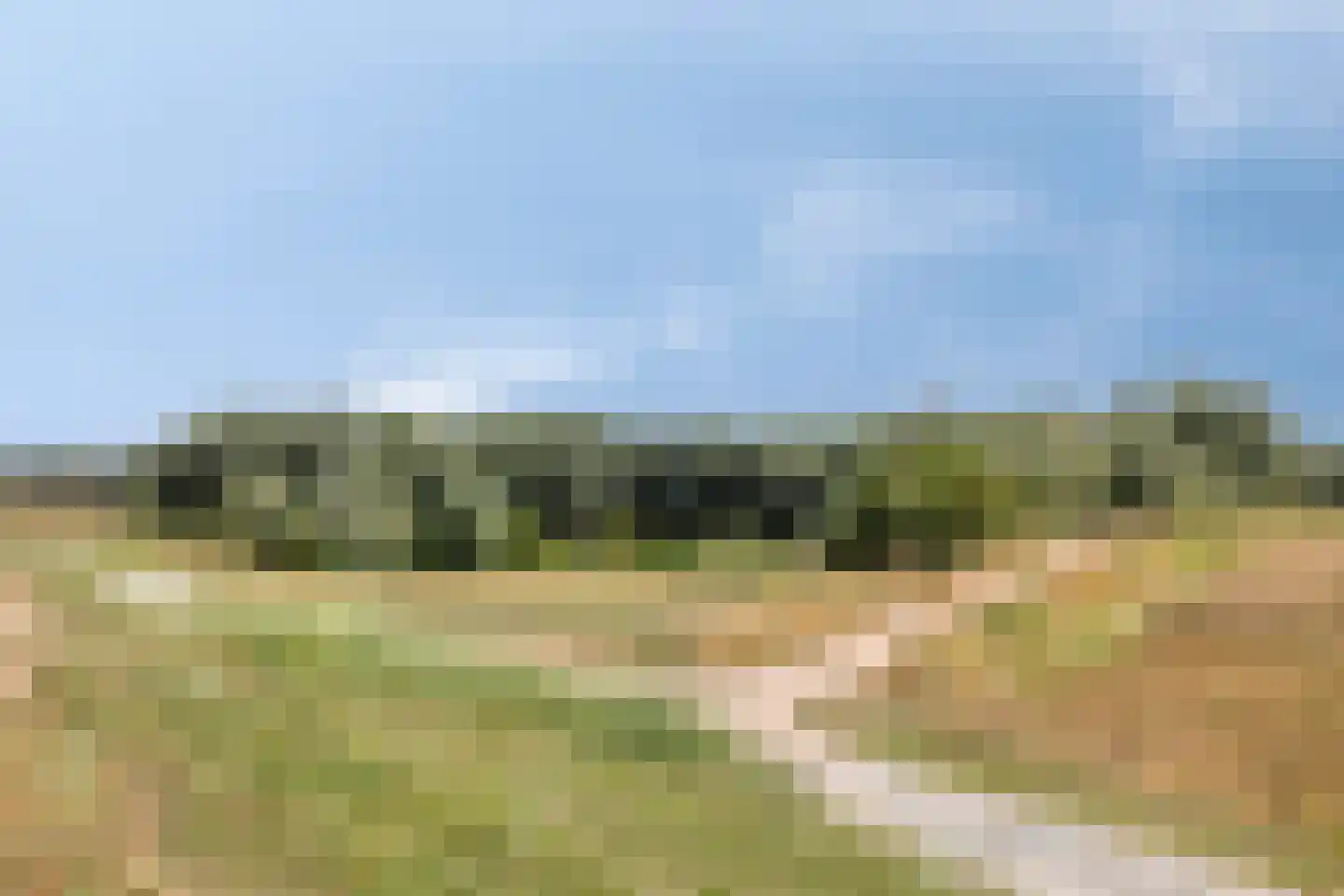 Dokter van der Koppelstraat 3 Ophemert thumbnail 34