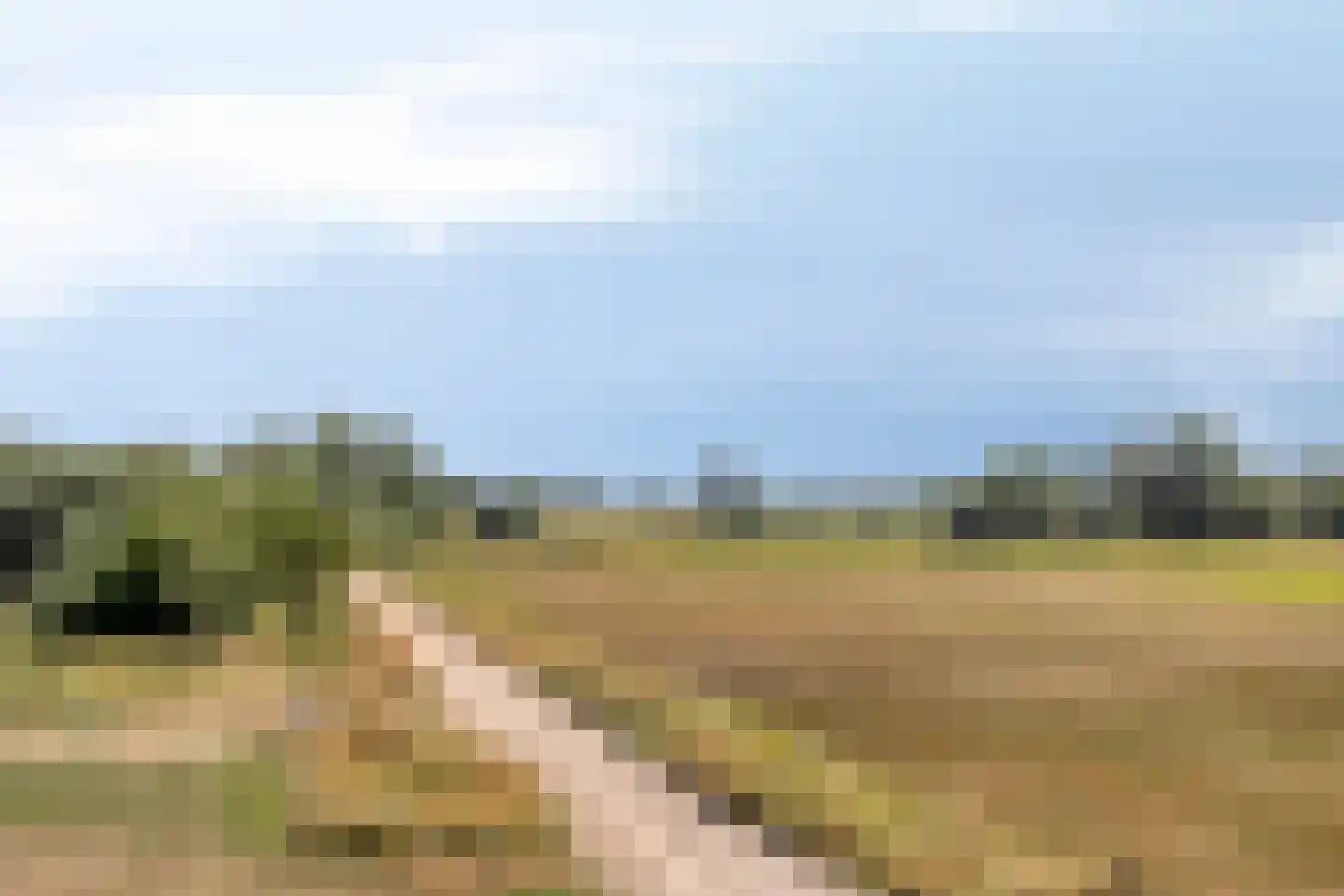 Dokter van der Koppelstraat 3 Ophemert thumbnail 35