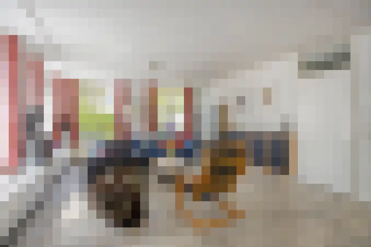 Dokter van der Koppelstraat 3 Ophemert thumbnail 4