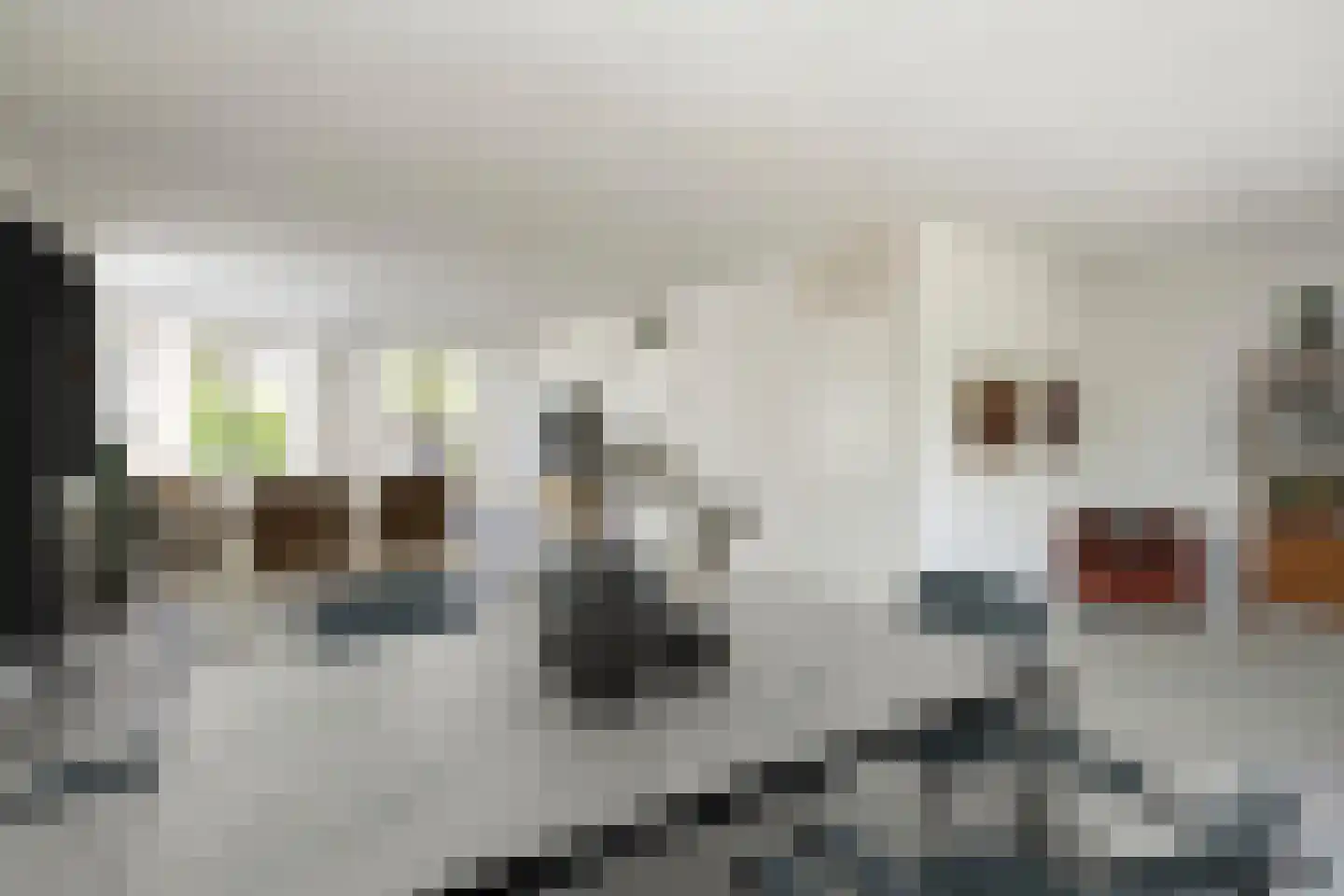 Dokter van der Koppelstraat 3 Ophemert thumbnail 6