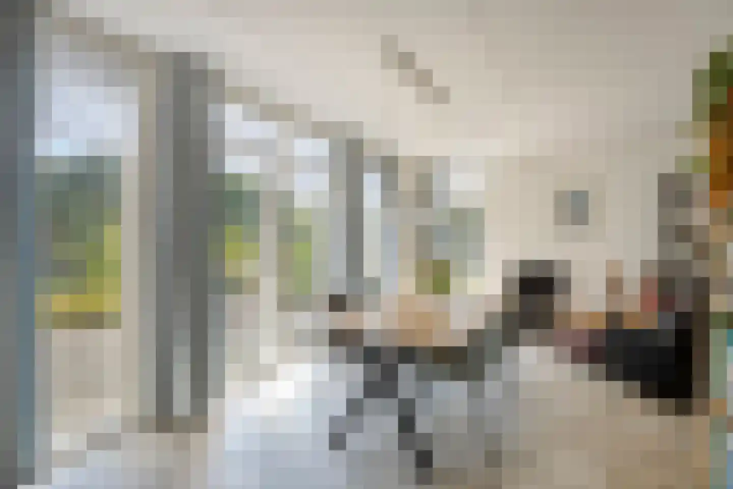 Dokter van der Koppelstraat 3 Ophemert thumbnail 9