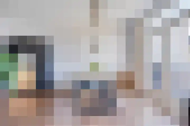 Dokter van der Windhof 26 Aarlanderveen thumbnail 10