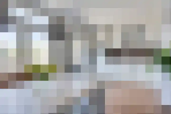 Dokter van der Windhof 26 Aarlanderveen thumbnail 12