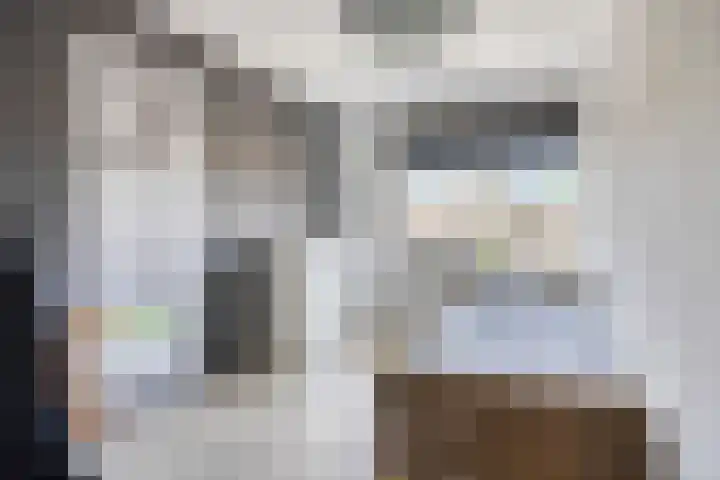 Dokter van der Windhof 26 Aarlanderveen thumbnail 19