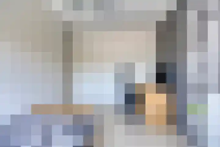 Dokter van der Windhof 26 Aarlanderveen thumbnail 20