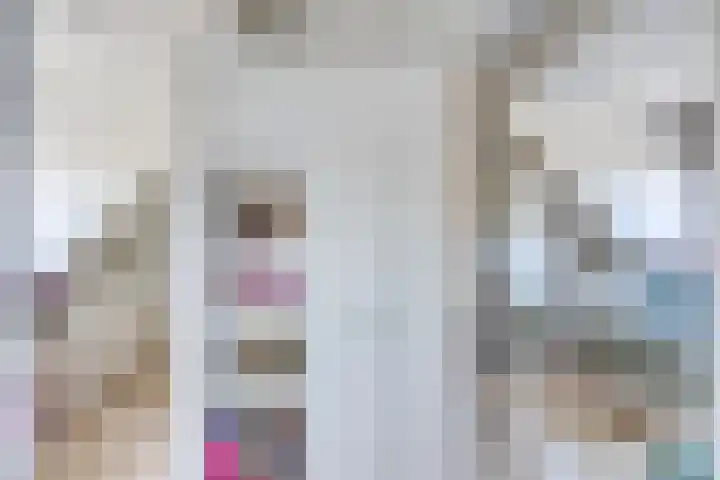 Dokter van der Windhof 26 Aarlanderveen thumbnail 23