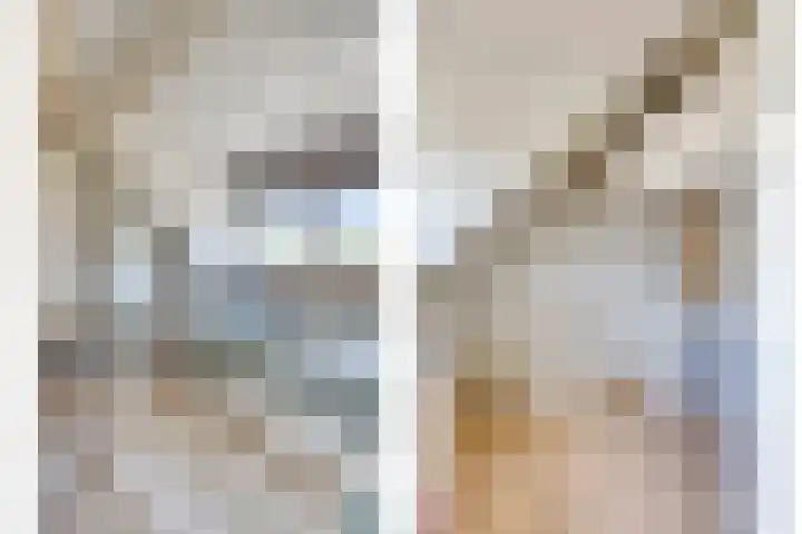 Dokter van der Windhof 26 Aarlanderveen thumbnail 24
