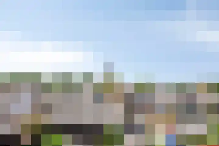 Dokter van der Windhof 26 Aarlanderveen thumbnail 26
