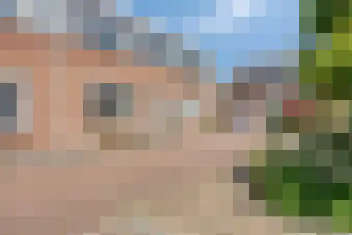 Dokter van der Windhof 26 Aarlanderveen thumbnail 31