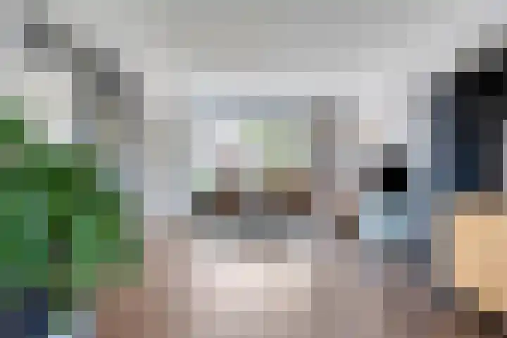 Dokter van der Windhof 26 Aarlanderveen thumbnail 8