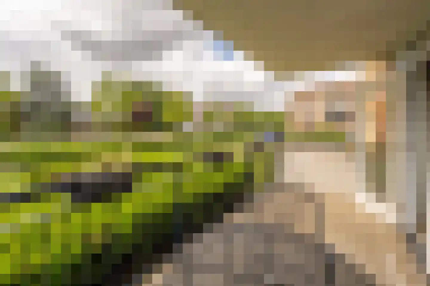 Dokter Van Dongenkade 1 Oud-Beijerland thumbnail 10