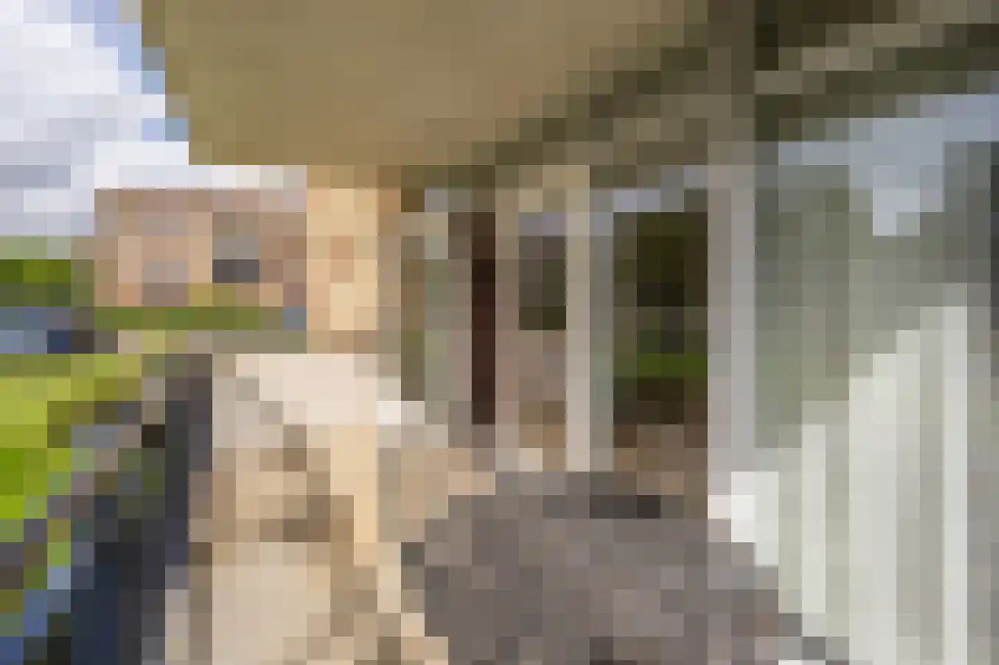 Dokter Van Dongenkade 1 Oud-Beijerland thumbnail 11