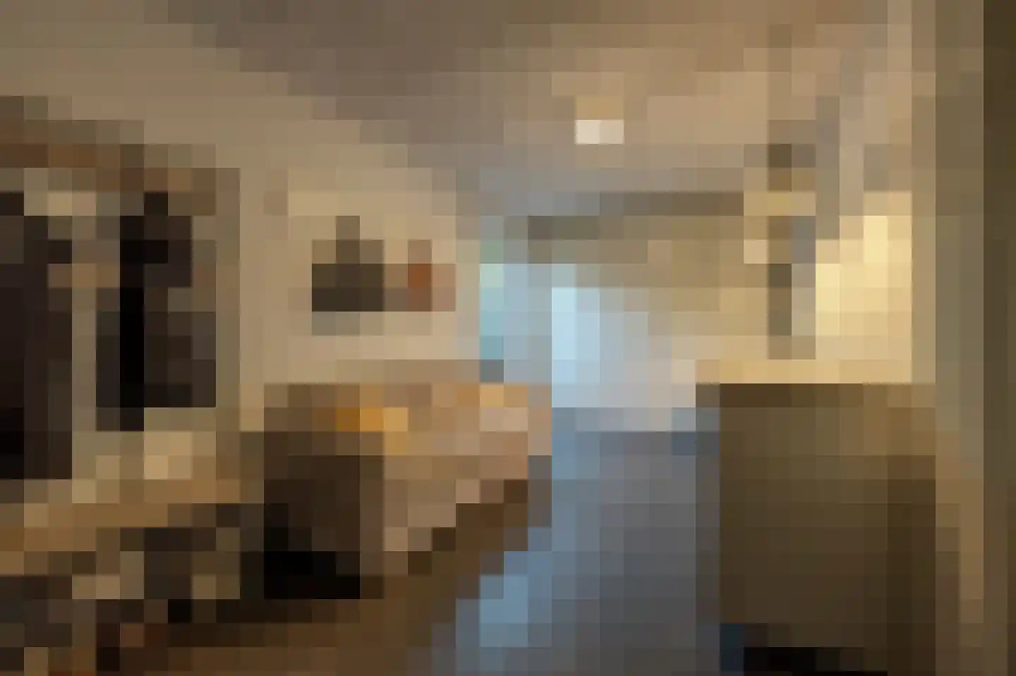 Dokter Van Dongenkade 22 Oud-Beijerland thumbnail 12