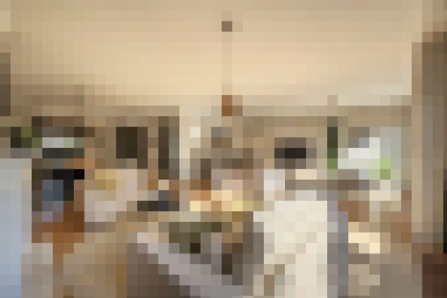 Dokter Van Dongenkade 22 Oud-Beijerland thumbnail 20