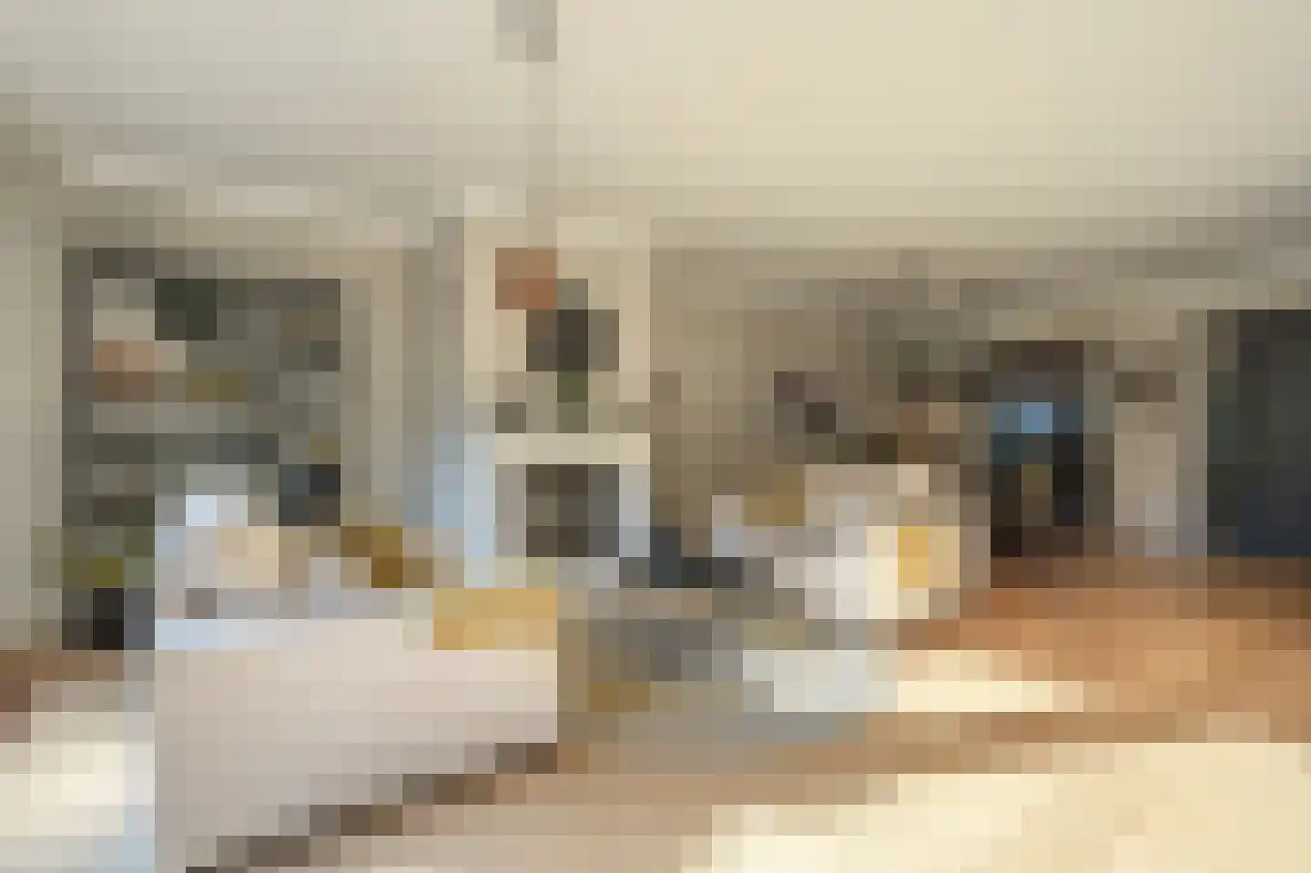 Dokter Van Dongenkade 22 Oud-Beijerland foto 3
