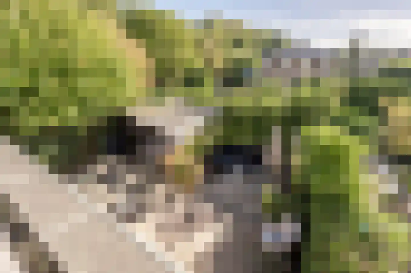 Dokter Van Dongenkade 22 Oud-Beijerland thumbnail 36