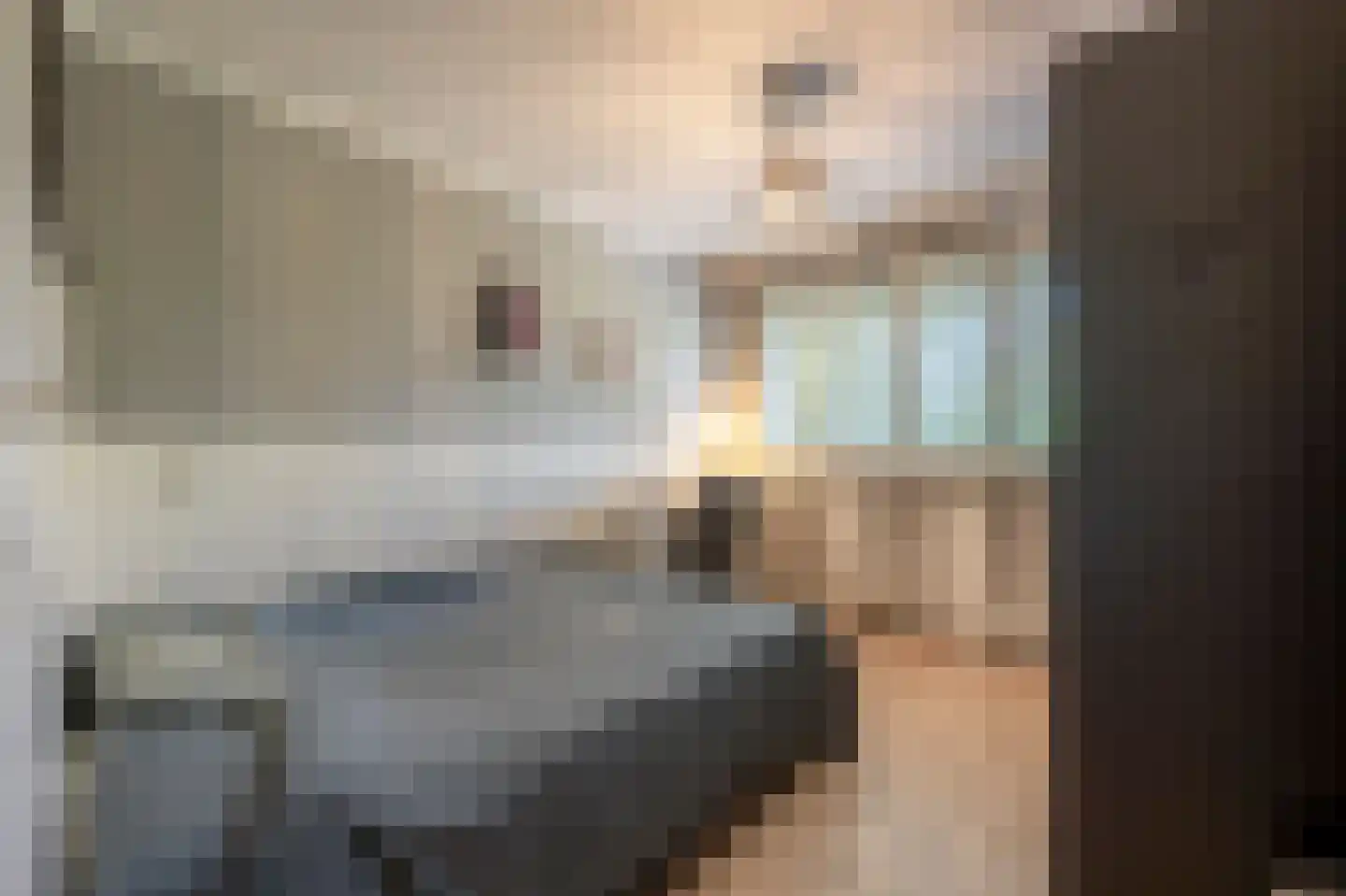 Dokter Van Dongenkade 22 Oud-Beijerland thumbnail 39