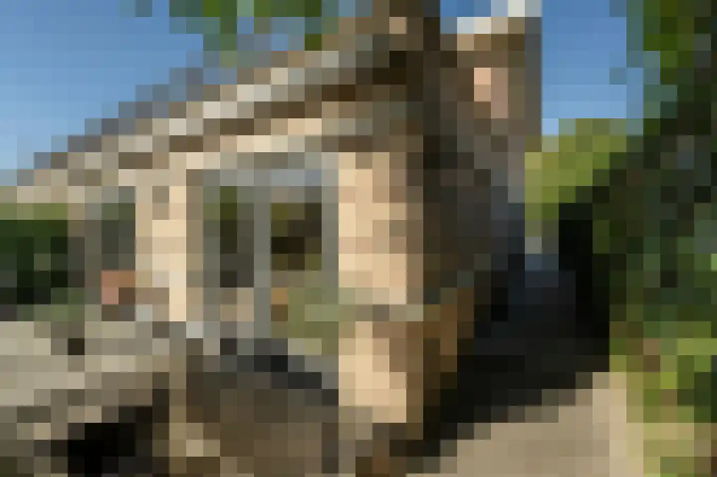 Dokter Van Dongenkade 22 Oud-Beijerland thumbnail 46