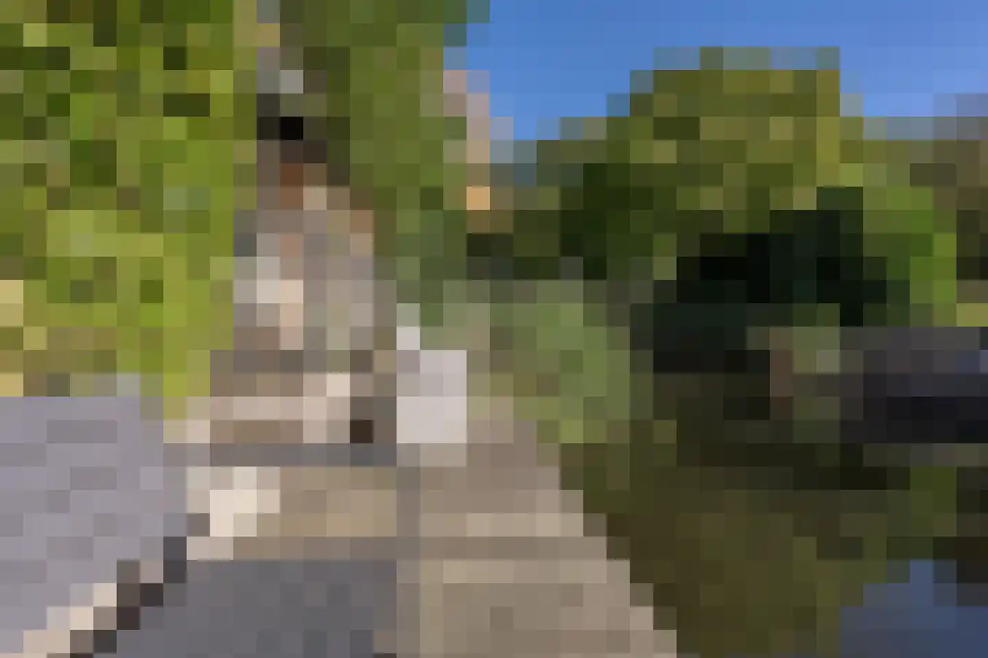 Dokter Van Dongenkade 22 Oud-Beijerland thumbnail 52
