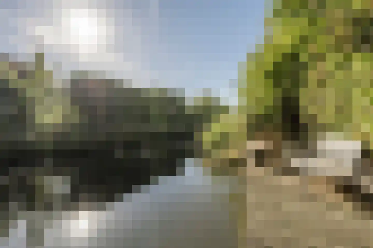 Dokter Van Dongenkade 22 Oud-Beijerland thumbnail 8