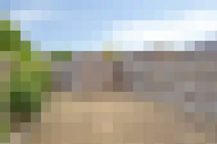 Dokter van Gelderweg 16 Emst thumbnail 19