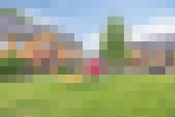 Dokter van Gelderweg 16 Emst thumbnail 22