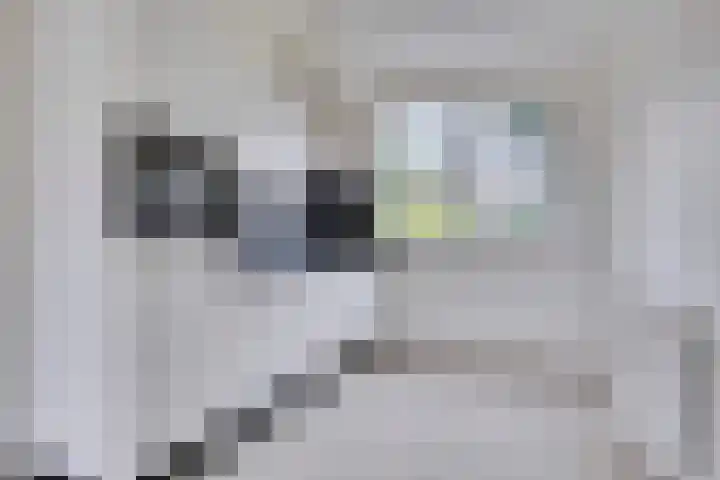 Dokter van Gelderweg 16 Emst thumbnail 8