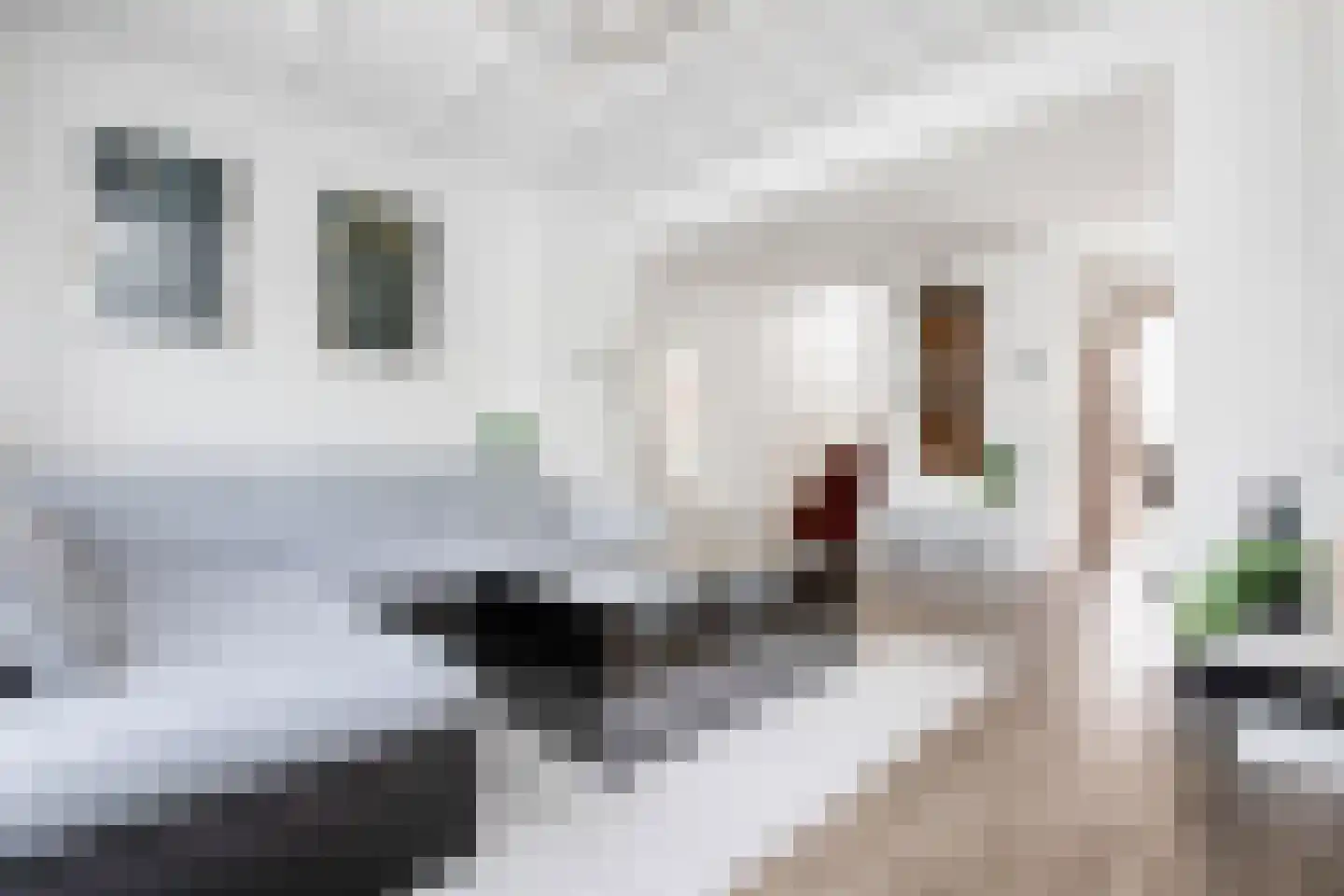 Dokter Van Haeringenplantsoen 2 Nieuw-Vennep thumbnail 10