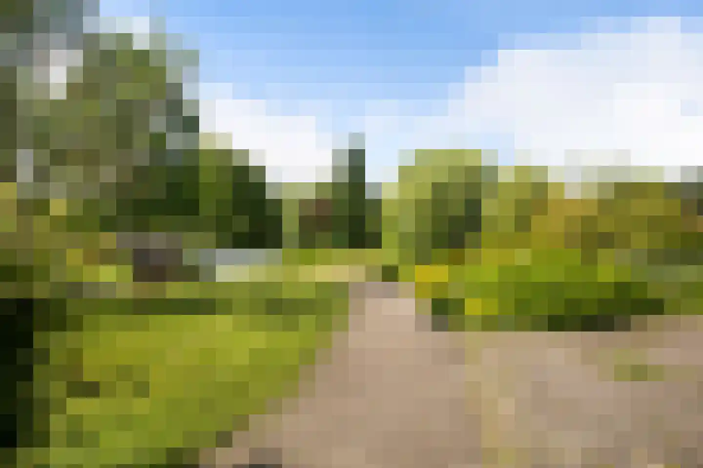 Dokter Van Haeringenplantsoen 2 Nieuw-Vennep thumbnail 33