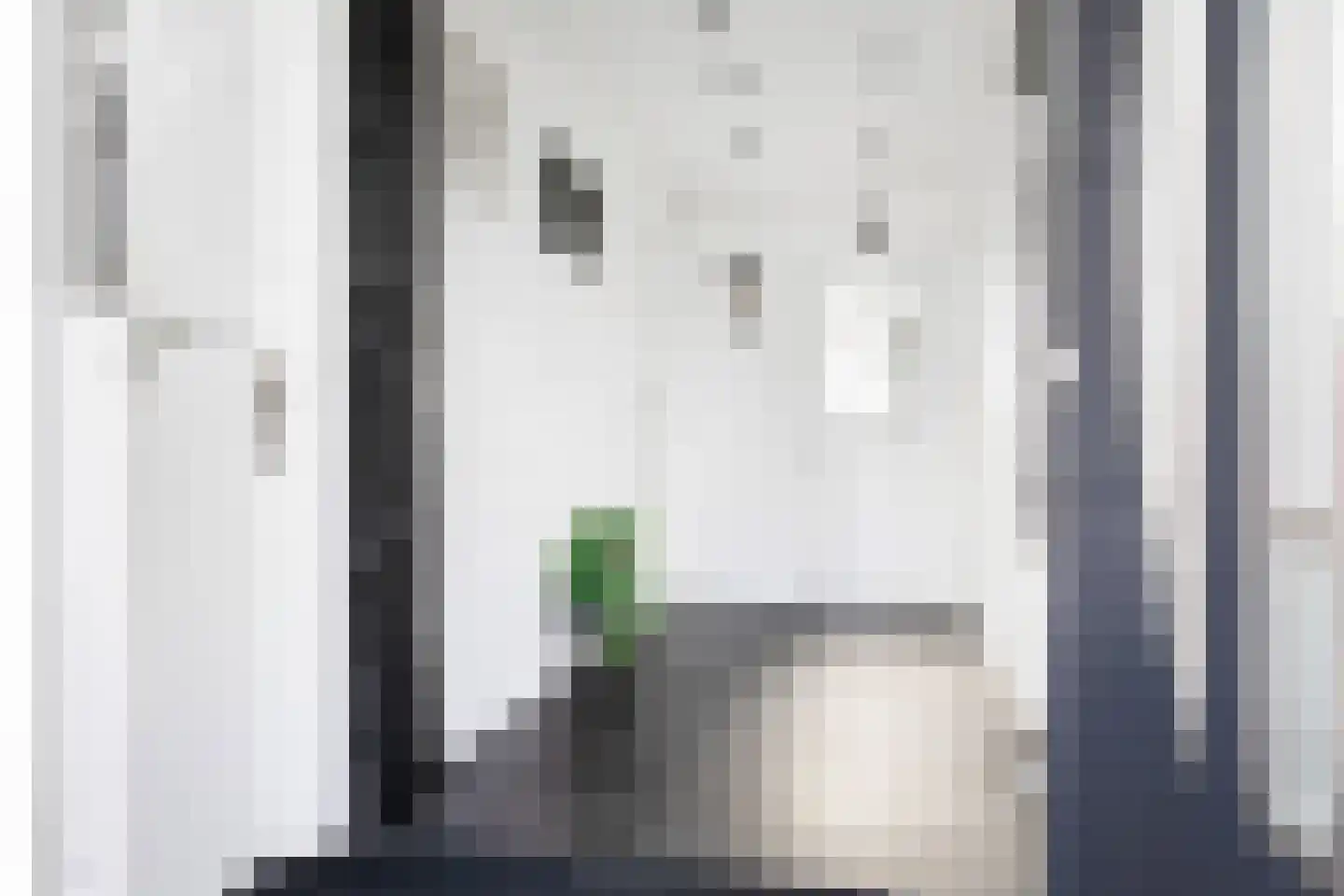 Dokter Van Haeringenplantsoen 2 Nieuw-Vennep thumbnail 7