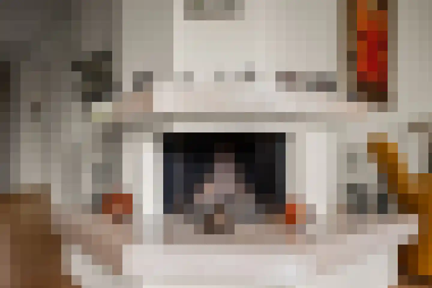 Dokter Van Haeringenplantsoen 21 Nieuw-Vennep thumbnail 12