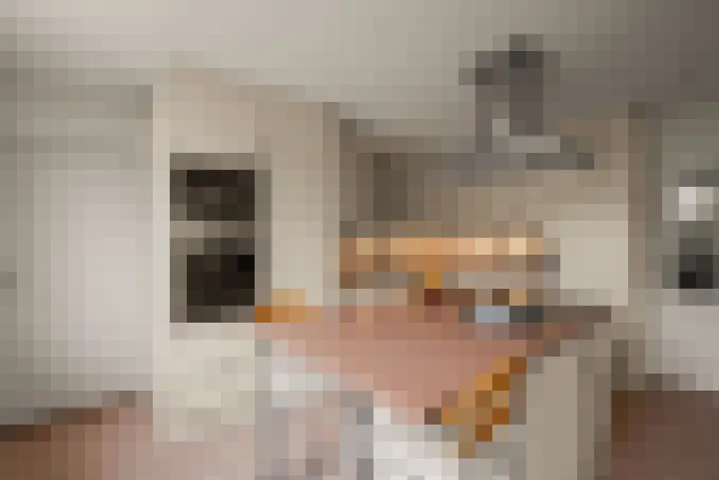 Dokter Van Haeringenplantsoen 21 Nieuw-Vennep thumbnail 15