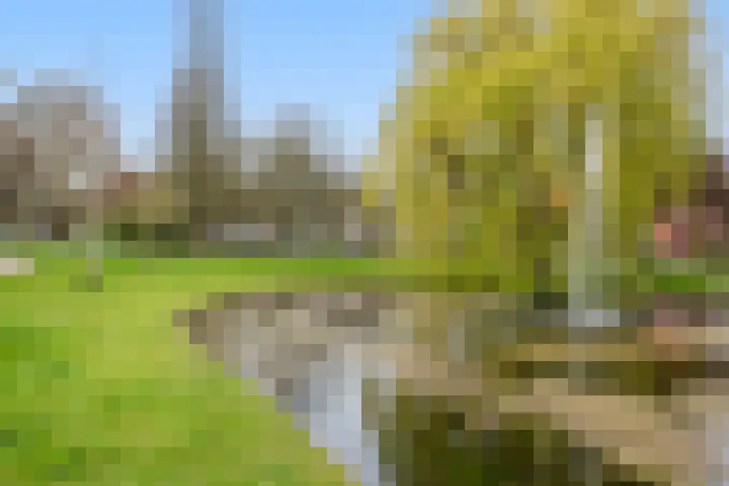 Dokter Van Haeringenplantsoen 21 Nieuw-Vennep foto 2