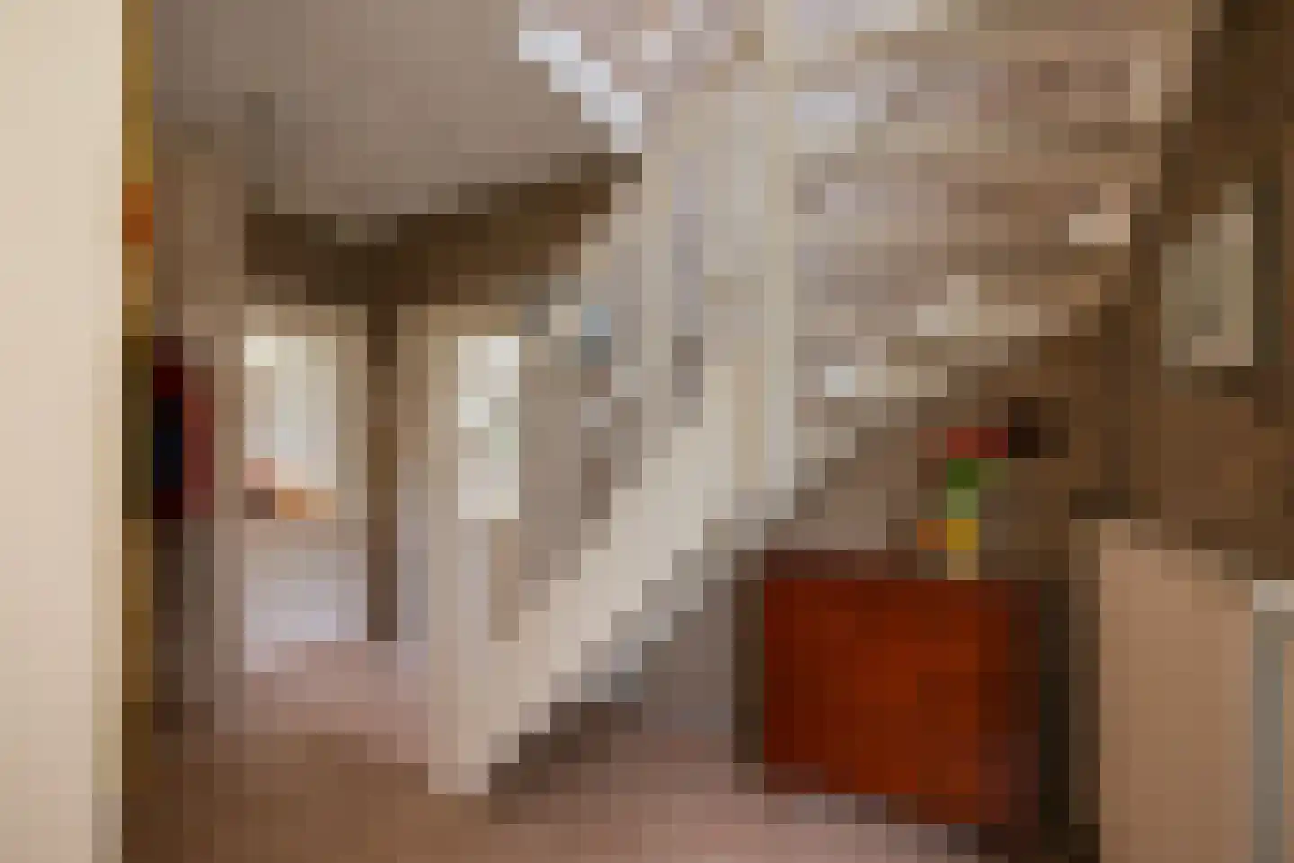 Dokter Van Haeringenplantsoen 21 Nieuw-Vennep thumbnail 20