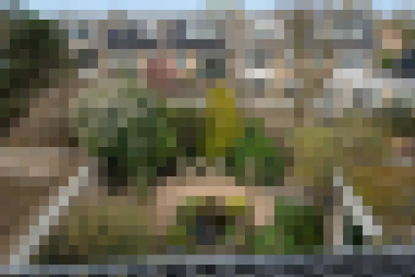 Dokter Van Haeringenplantsoen 21 Nieuw-Vennep thumbnail 39