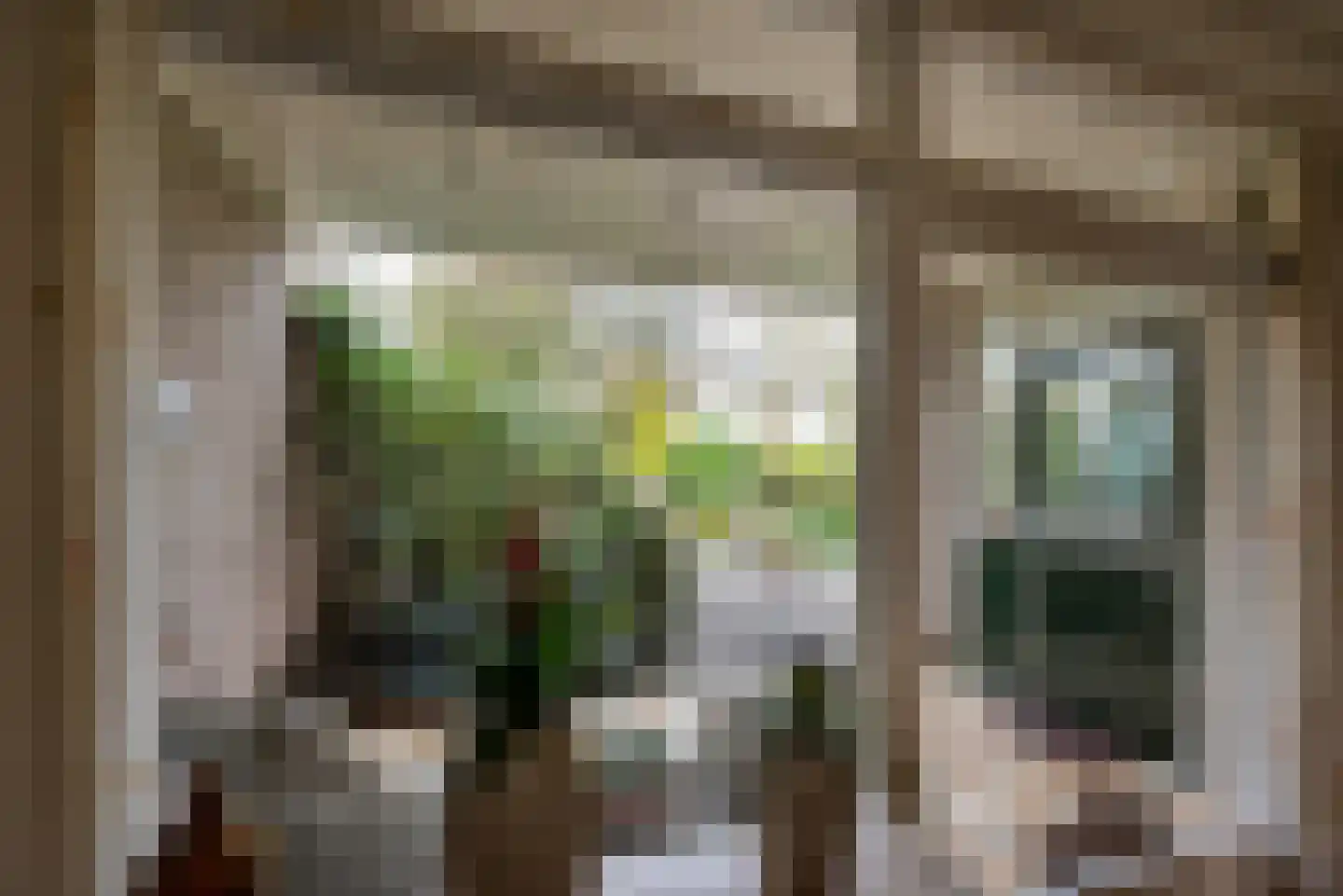 Dokter Van Haeringenplantsoen 21 Nieuw-Vennep thumbnail 40