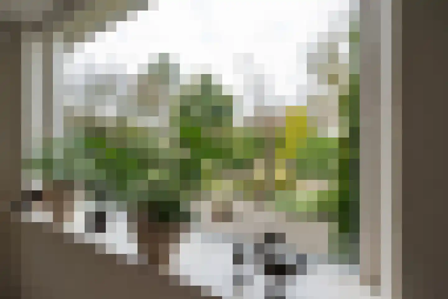 Dokter Van Haeringenplantsoen 21 Nieuw-Vennep thumbnail 41