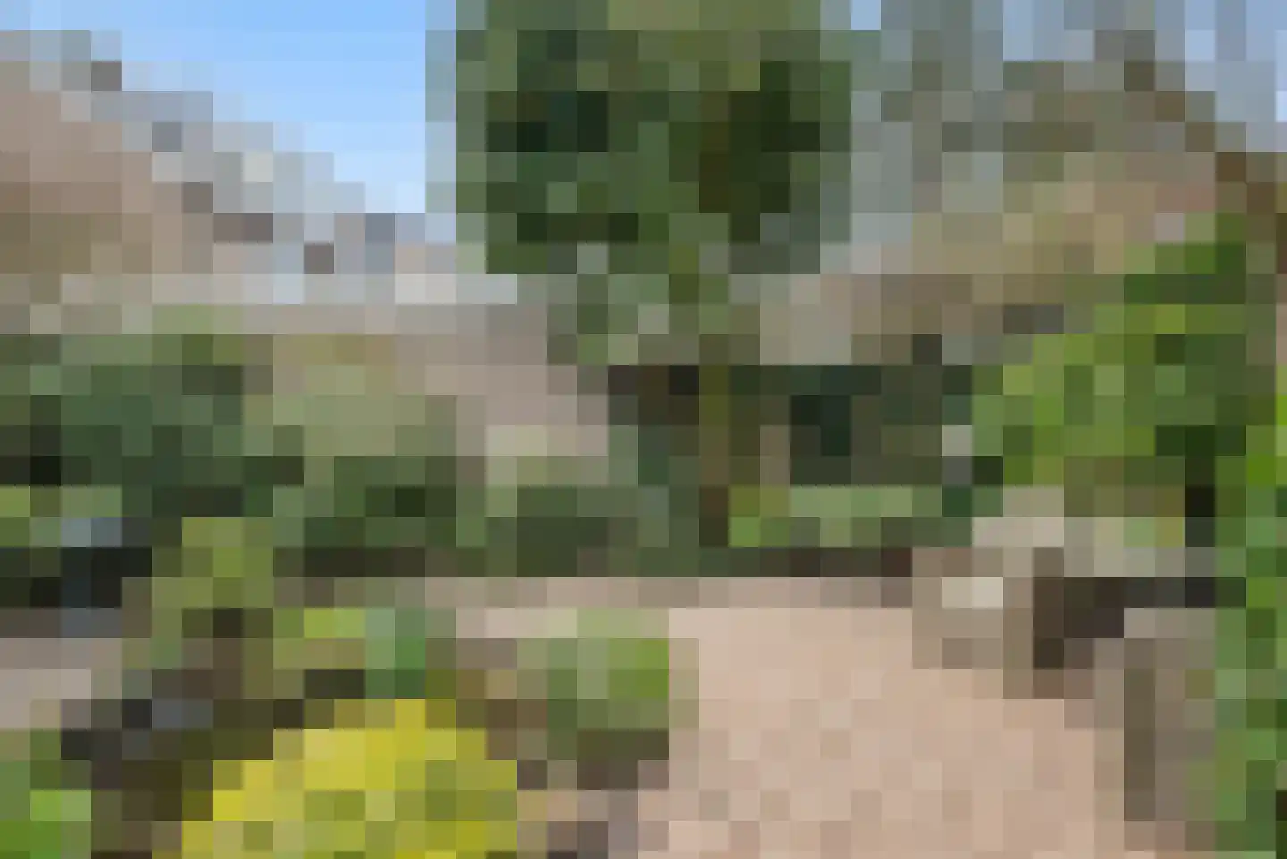 Dokter Van Haeringenplantsoen 21 Nieuw-Vennep thumbnail 46