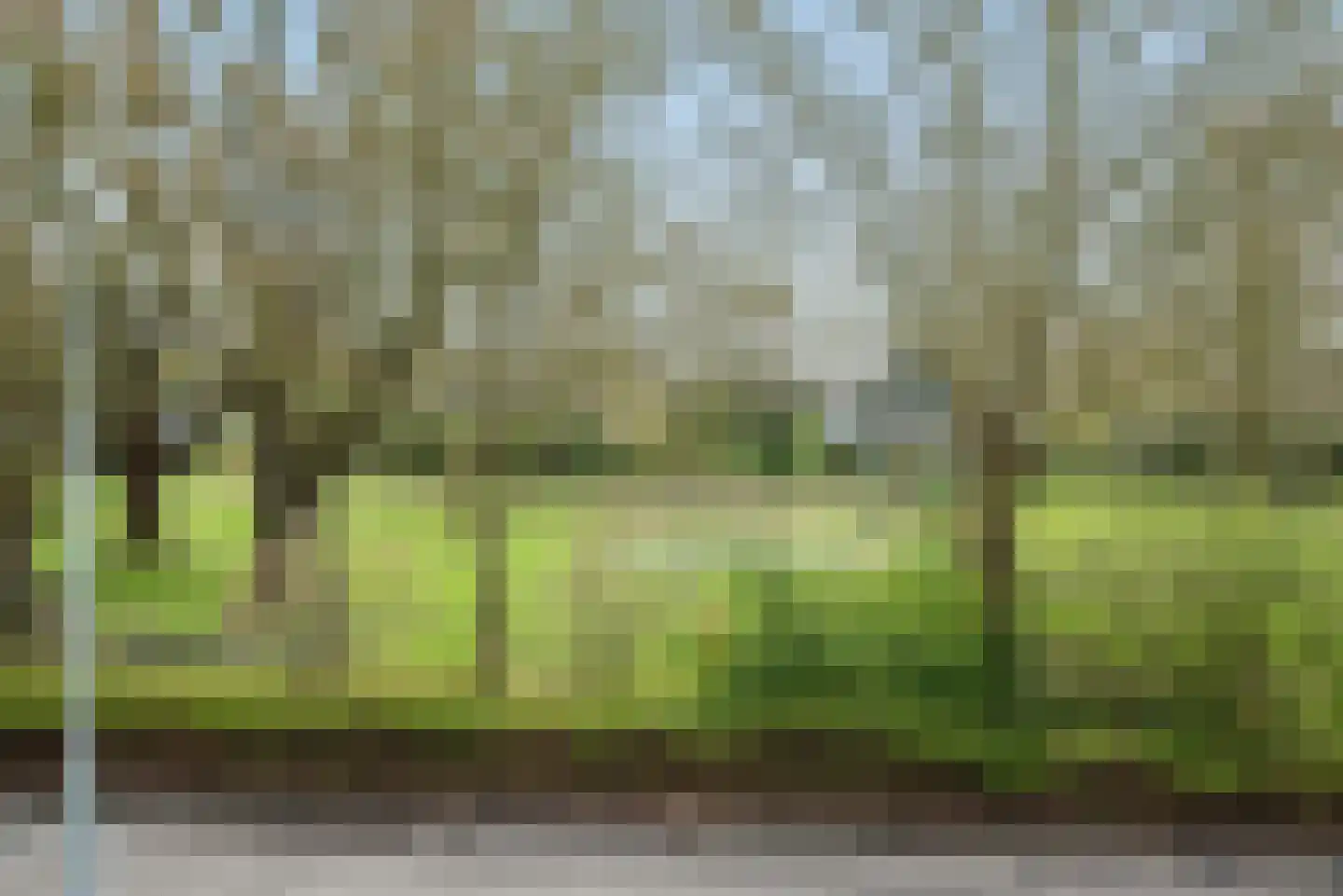 Dokter Van Haeringenplantsoen 21 Nieuw-Vennep thumbnail 48