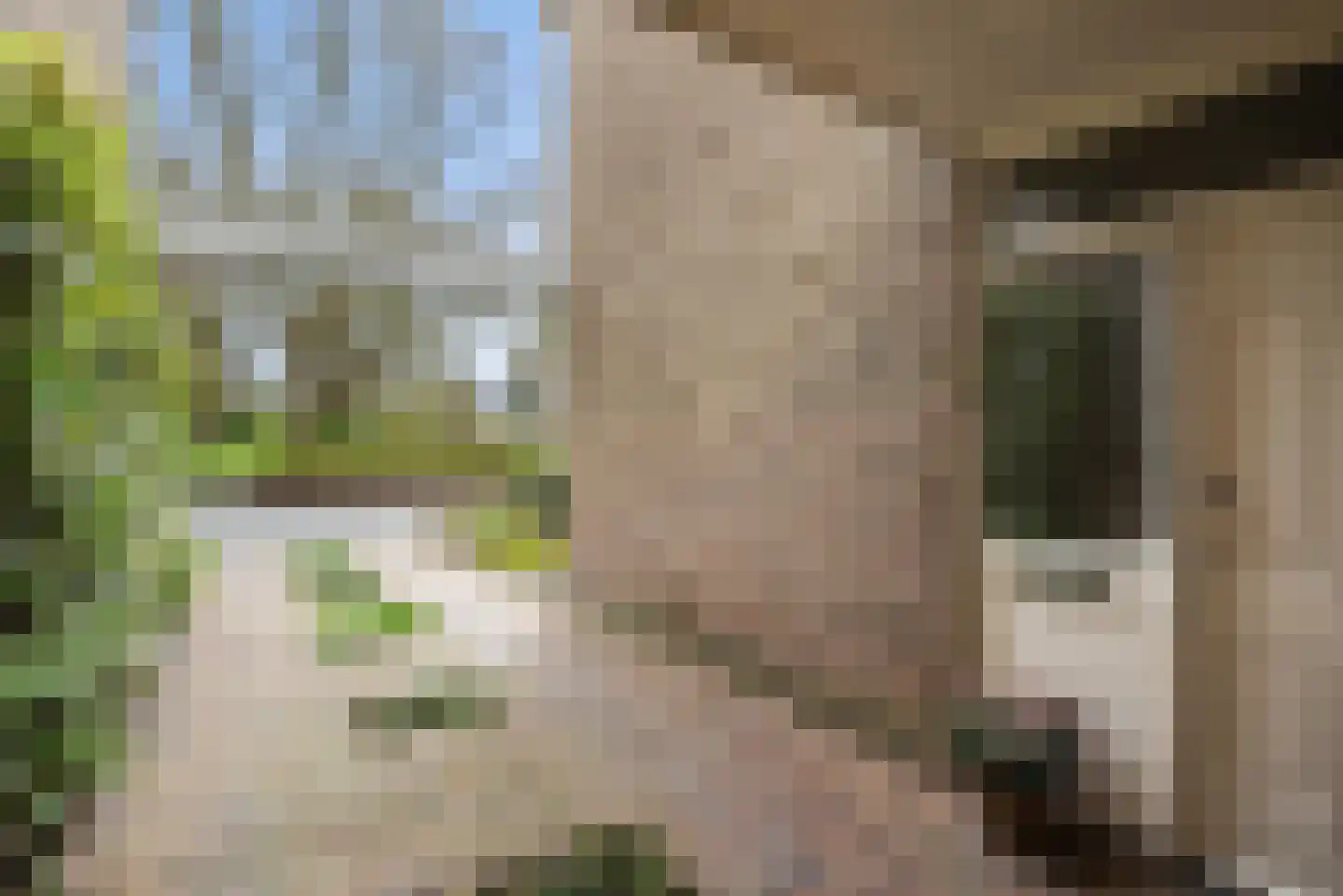Dokter Van Haeringenplantsoen 21 Nieuw-Vennep thumbnail 49