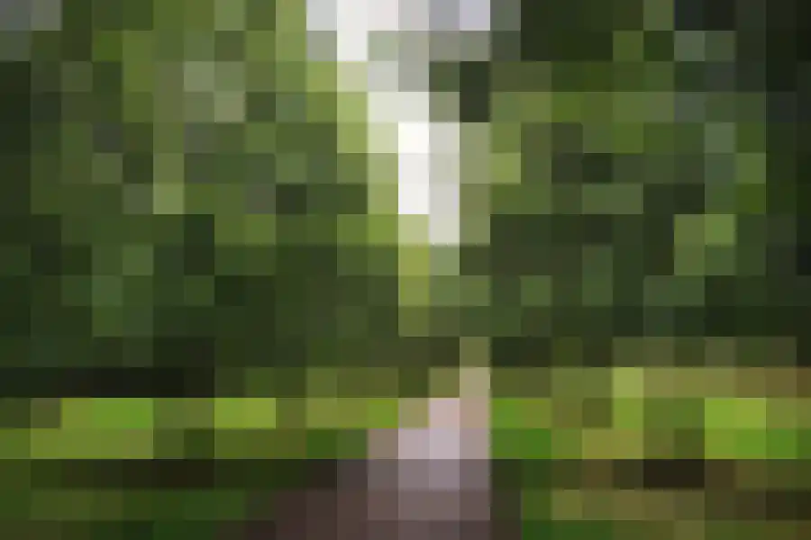 Dokter Van Haeringenplantsoen 21 Nieuw-Vennep thumbnail 68