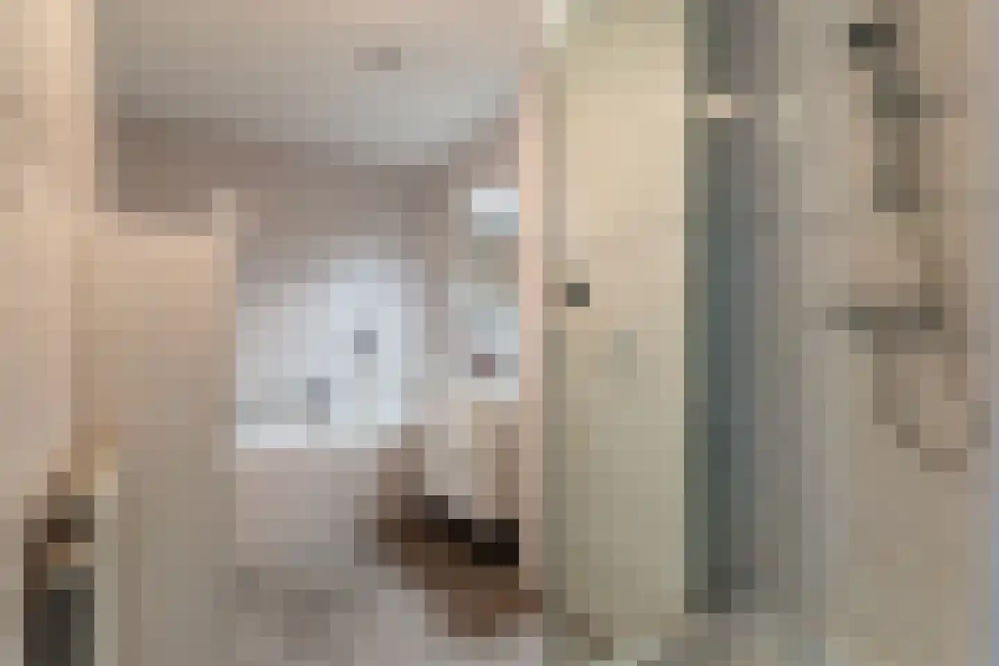 Dokter Van Haeringenplantsoen 6 01 Nieuw-Vennep thumbnail 20