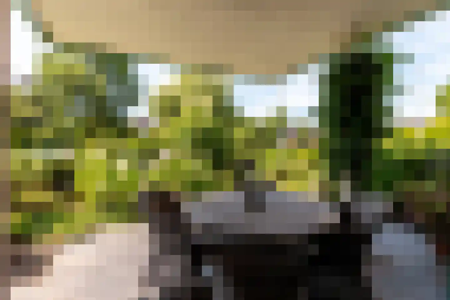 Dokter Van Haeringenplantsoen 6 01 Nieuw-Vennep thumbnail 27