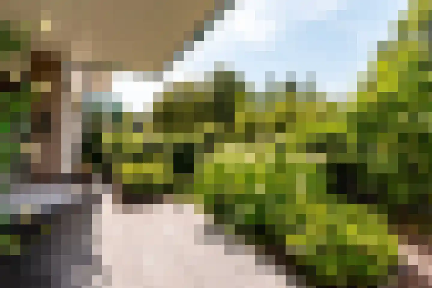 Dokter Van Haeringenplantsoen 6 01 Nieuw-Vennep thumbnail 30