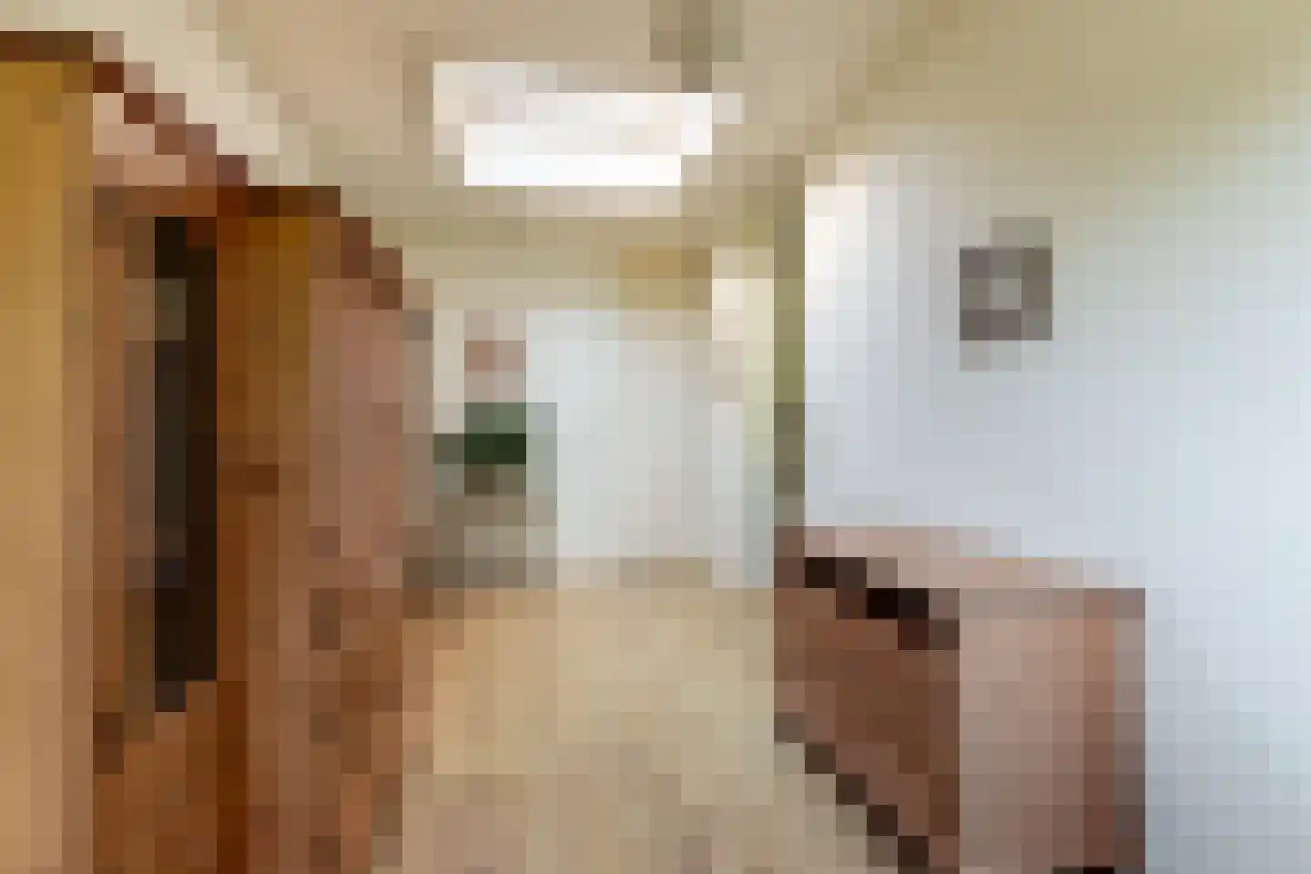 Dokter Van Haeringenplantsoen 6 01 Nieuw-Vennep thumbnail 9